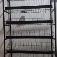 استند فروشگاهی و اداری