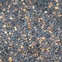 کنجدسیاه|خوردنی و آشامیدنی|اصلاندوز, |دیوار