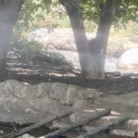 شراکت/کافه قیلیون/بیرون شهر