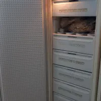 کارتن و فریزر