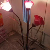 آباژور