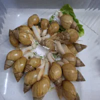 حلزون آچاتینا آلبینو
