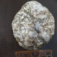 سنگ آکواریوم