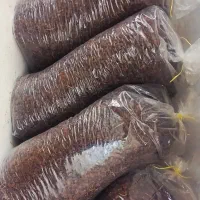 کشمش افتابی