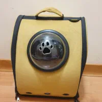 کوله حمل گربه، سگ کوچک