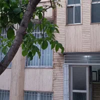 مسئول دفتر خانم