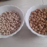 محله ی مهدیزاده