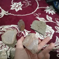 فسیل|کلکسیون اشیاء عتیقه|شیروان (خراسان), |دیوار