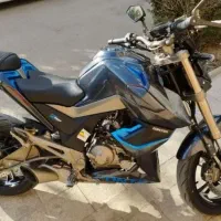 زونتس  155 خشک خشک