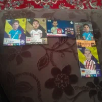 انواع کیمدی
