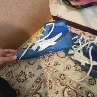 کفش کشتی