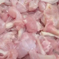 گوشواره مرغ