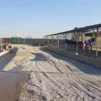 شیر دوش ۱۲ واحد ثابت