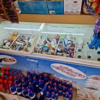 فریزر بستنی ۶۰۰ لیتری الکترواستیل در حال کار