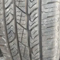 لاستیک پاترول