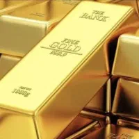 فقط با چنددقیقه وقت پول دربیاربا ثبت نام توملی گلد
