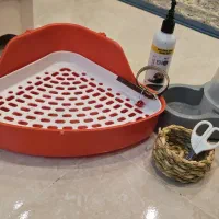 وسایل ضروری خرگوش