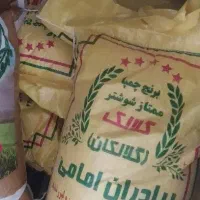 برنج گلالک اصل