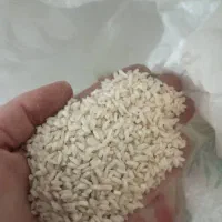 برنج چمپا درجه یک موجود با کالا برگ میدم