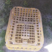 سبد مرغ زنده