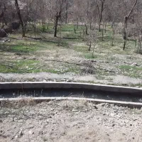 مشاور املاک