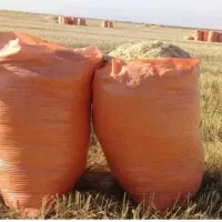 فروش چند باک کاه گندم مرغوب دیم