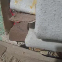 موکت
