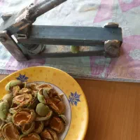 بادام شکن آپارتمانی