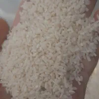 برنج صدری