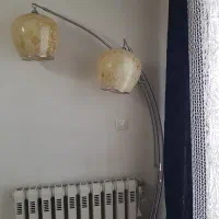اباژور ایستاده دو شاخه