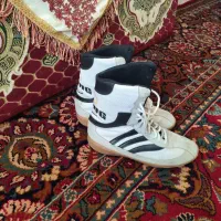 کفش بوکس