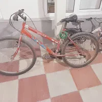 دوچرخه ۲۶