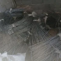 خاموت|ابزارآلات|پاسارگاد, |دیوار