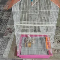 قفس بزرگ