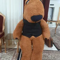 عروسک‌بززگ برنارد