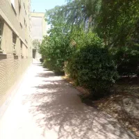 استخدام نیروی خدماتی