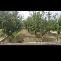 فروش-باغ-در-هشتگرد-بختیار