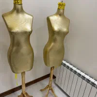 مانکن سوزن خور