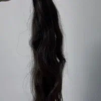 مو طبیعی ۶۰ سانتی از سر کات شده