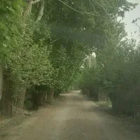 700-متر-باغچه-سند-دار-در-زرنان-تهران