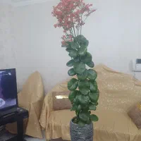 گل و گلدان