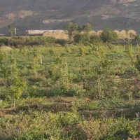 زمین-دشتروم-تنگاری-1500-متر-جهت-ساخت-ویلا-با-سند
