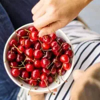 کارگر آلبالو چینی