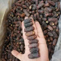 خرما پیارم و خاصویی