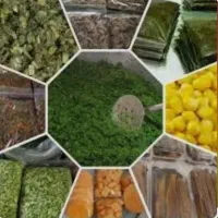 سبزیجات سرخ شده وکبابی خانگی