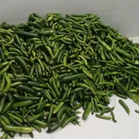 خیارشور ۳۹۰