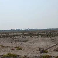 فروش زمین