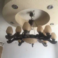 لوسترچوبی - لوسترطلایی-لوسترفانتزی