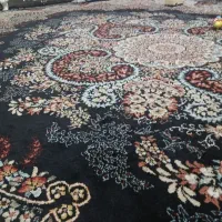 قالی ۱۲متری سالم سالمه