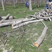 خریدچوب